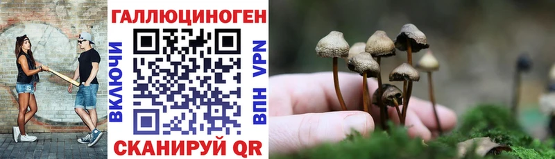 Псилоцибиновые грибы GOLDEN TEACHER  Невель 